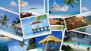 Tour Packages